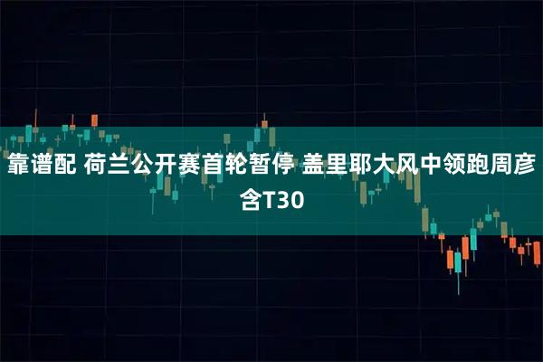 靠谱配 荷兰公开赛首轮暂停 盖里耶大风中领跑周彦含T30