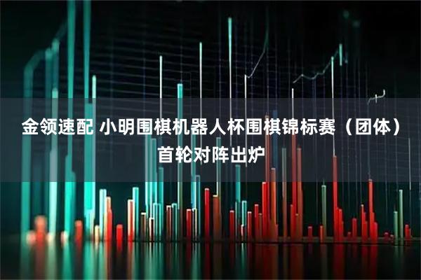金领速配 小明围棋机器人杯围棋锦标赛（团体）首轮对阵出炉