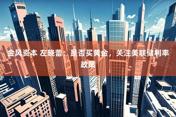 金风资本 左晓蕾：是否买黄金，关注美联储利率政策
