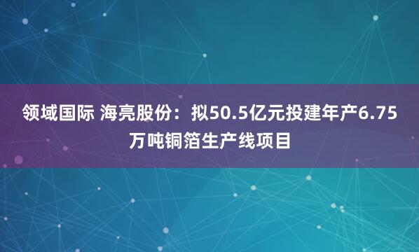 领域国际 海亮股份：拟50.5亿元投建年产6.75万吨铜箔生产线项目