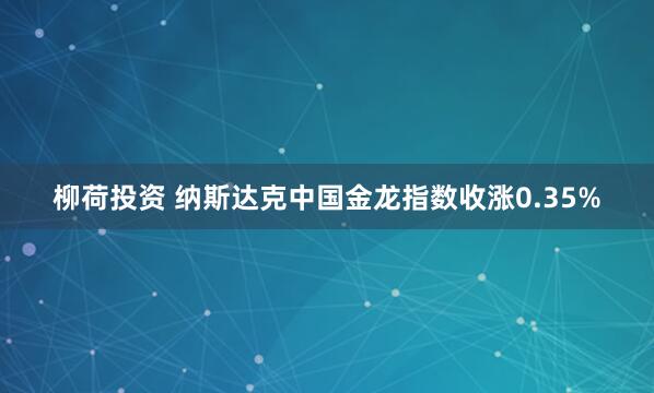 柳荷投资 纳斯达克中国金龙指数收涨0.35%
