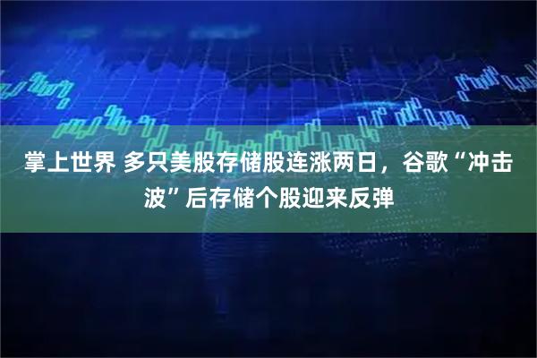 掌上世界 多只美股存储股连涨两日，谷歌“冲击波”后存储个股迎来反弹