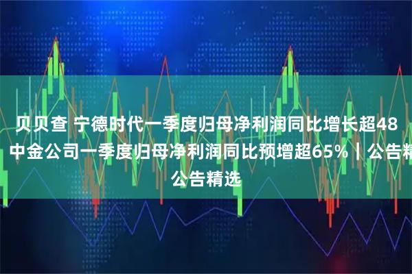 贝贝查 宁德时代一季度归母净利润同比增长超48%；中金公司一季度归母净利润同比预增超65%｜公告精选