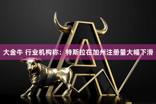 大金牛 行业机构称：特斯拉在加州注册量大幅下滑