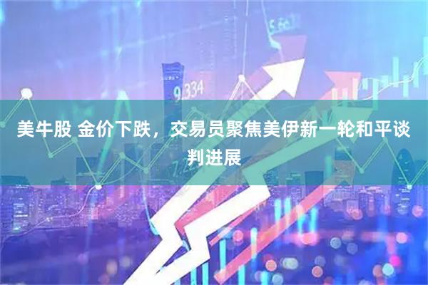 美牛股 金价下跌，交易员聚焦美伊新一轮和平谈判进展