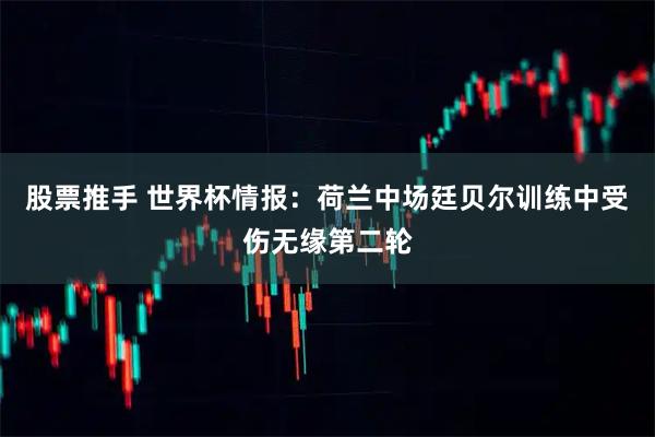 股票推手 世界杯情报：荷兰中场廷贝尔训练中受伤无缘第二轮