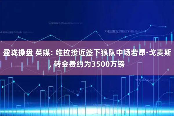 盈珑操盘 英媒: 维拉接近签下狼队中场若昂·戈麦斯, 转会费约为3500万镑