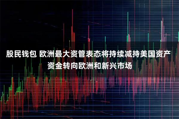 股民钱包 欧洲最大资管表态将持续减持美国资产 资金转向欧洲和新兴市场