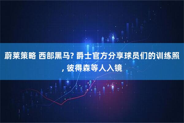蔚莱策略 西部黑马? 爵士官方分享球员们的训练照, 彼得森等人入镜