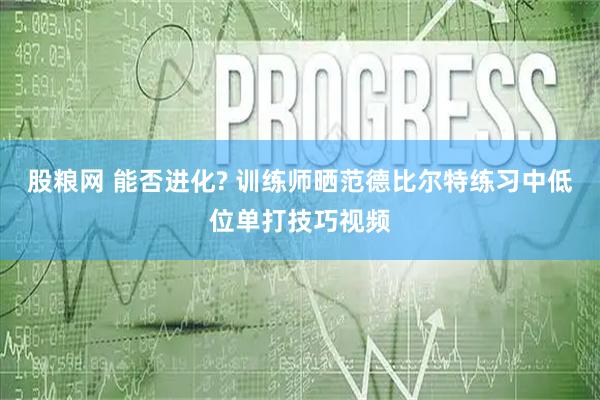 股粮网 能否进化? 训练师晒范德比尔特练习中低位单打技巧视频