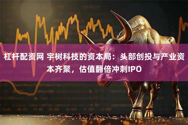 杠杆配资网 宇树科技的资本局：头部创投与产业资本齐聚，估值翻倍冲刺IPO