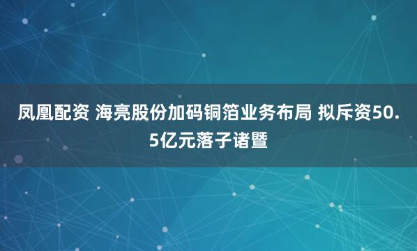 凤凰配资 海亮股份加码铜箔业务布局 拟斥资50.5亿元落子诸暨