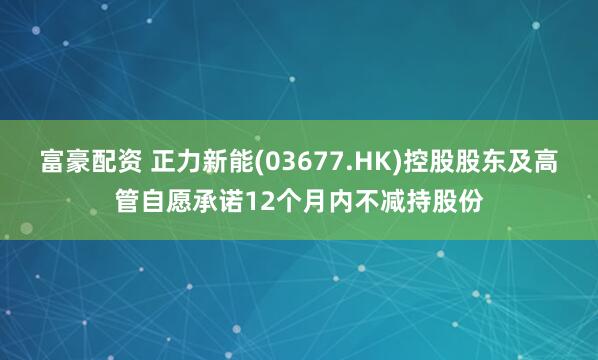 富豪配资 正力新能(03677.HK)控股股东及高管自愿承诺12个月内不减持股份