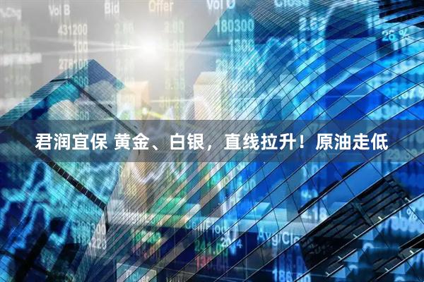 君润宜保 黄金、白银，直线拉升！原油走低