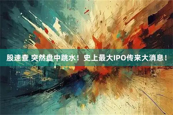 股速查 突然盘中跳水！史上最大IPO传来大消息！