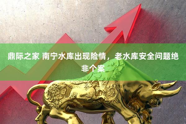 鼎际之家 南宁水库出现险情，老水库安全问题绝非个案