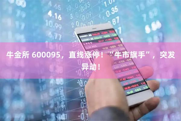 牛金所 600095，直线涨停！“牛市旗手”，突发异动！