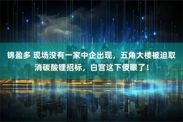 锦盈多 现场没有一家中企出现，五角大楼被迫取消碳酸锂招标，白宫这下傻眼了！